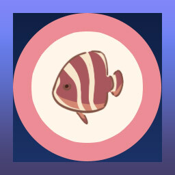 Darling Clam
