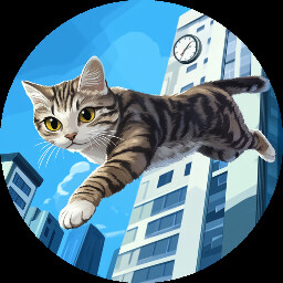 No Kitty Slo Mo