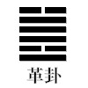 革