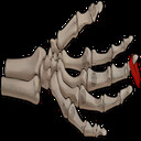 The Ruthless Iron Hand