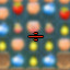Long Time Player