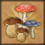 Mushroom-picker