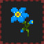 Forget-Me-Not