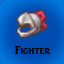 Fighter