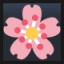 Cherry Blossom