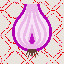 454_Onion_3