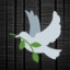 Dove