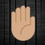 Raised Hand - Medium Skin Tone