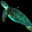Turtle Soup Anyone?