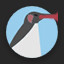 Noot Noot!