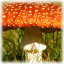 Kiosk Item Unlocked: Mushroom