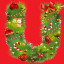 U
