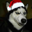 Happy Dog Year and Doggy Christmas!