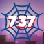 Web 737