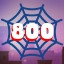 Web 800